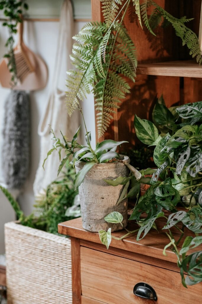 Potted plants sitting on a wooden hutch