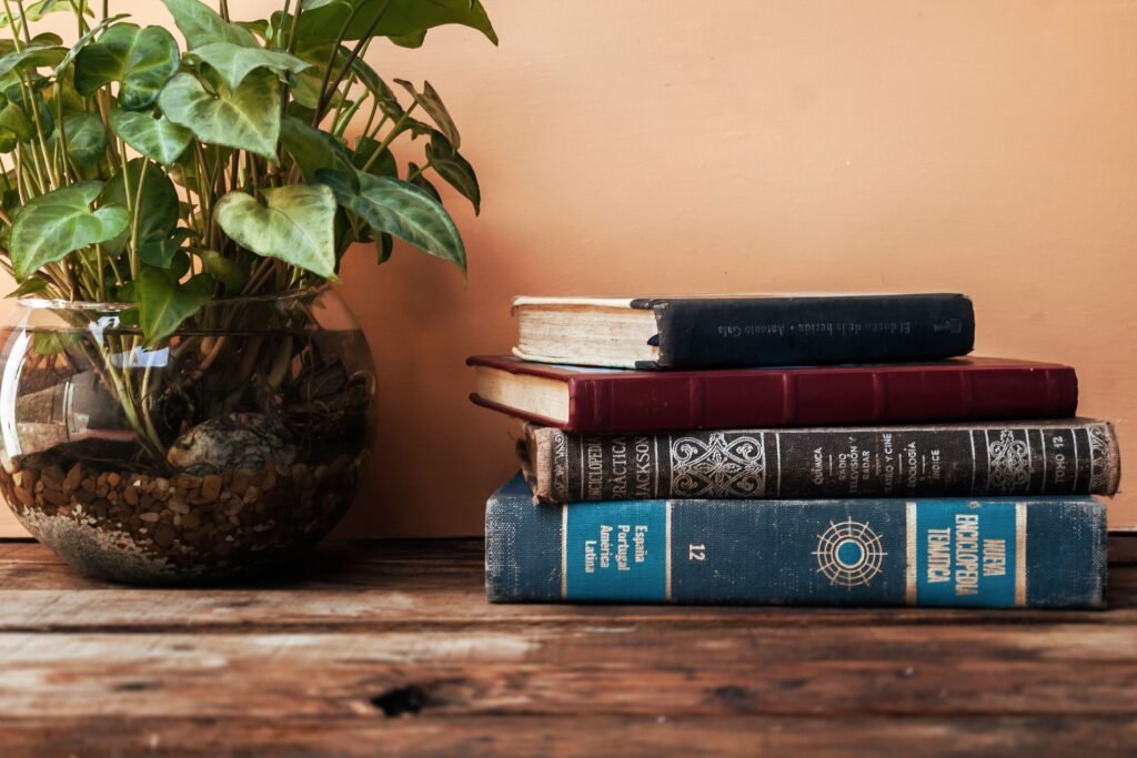 vintage books next to a potted plant on a table
