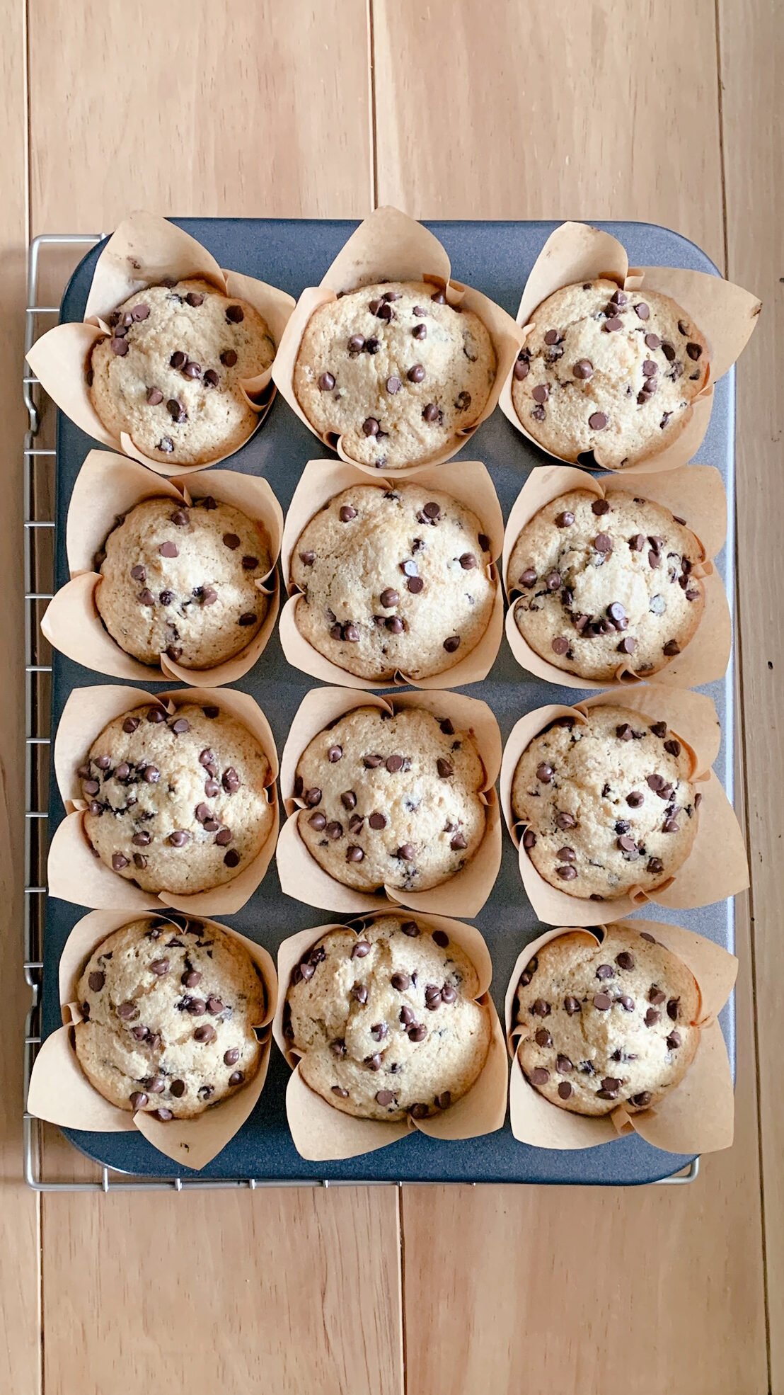 fresh milled chocolate chip muffins in the muffin pan after baking