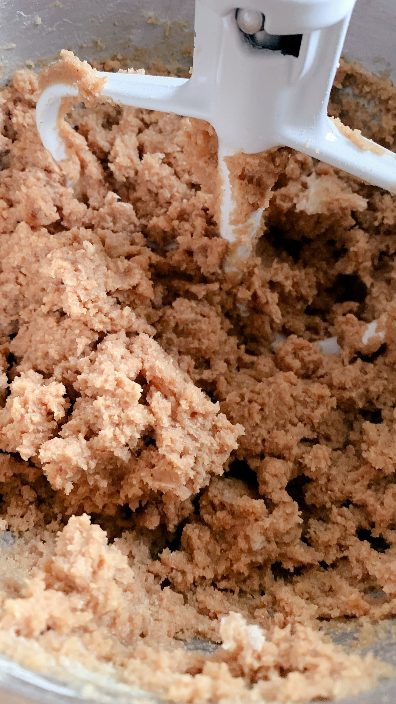After mixing together the wet and dry ingredients for fresh milled peanut butter oatmeal chocolate chip cookie bars